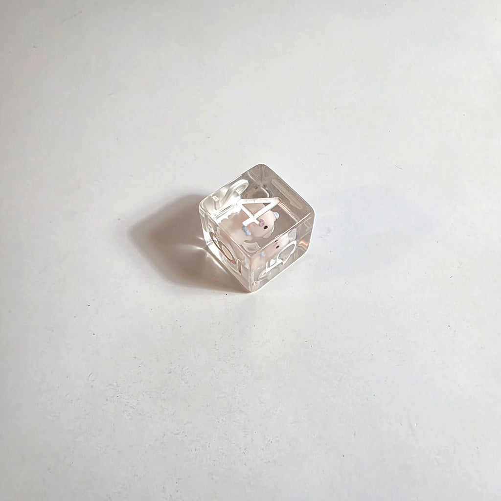 Pig Acrylic Dice Set