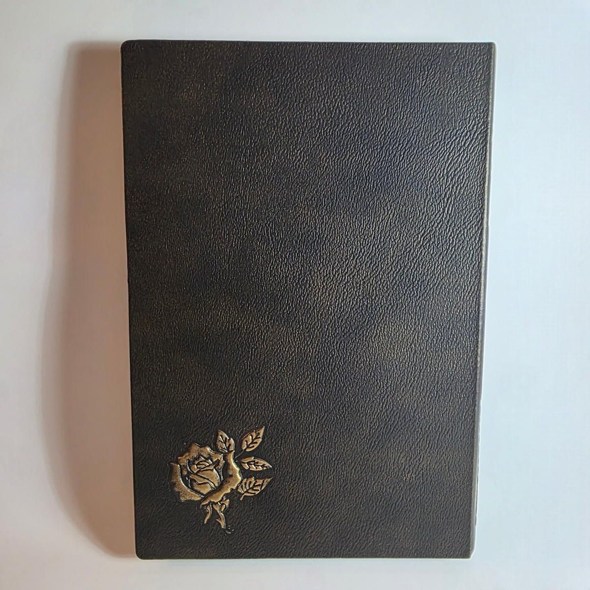 Brass Skull Notebook
